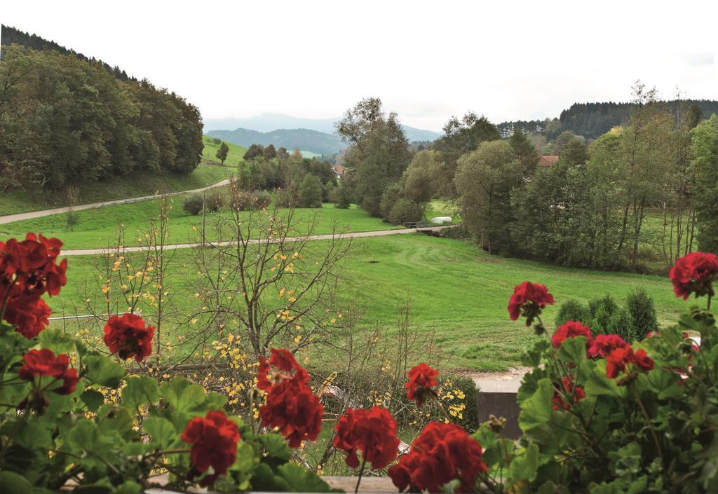 Landgasthof Adler Pelzmuehle Biederbach Room photo